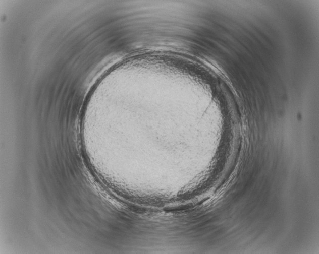 X0000053140798200508012242