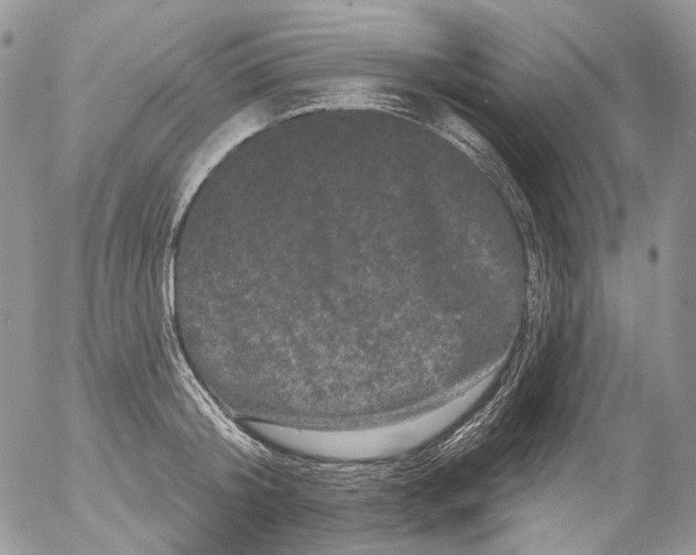 X0000053140804200508012242
