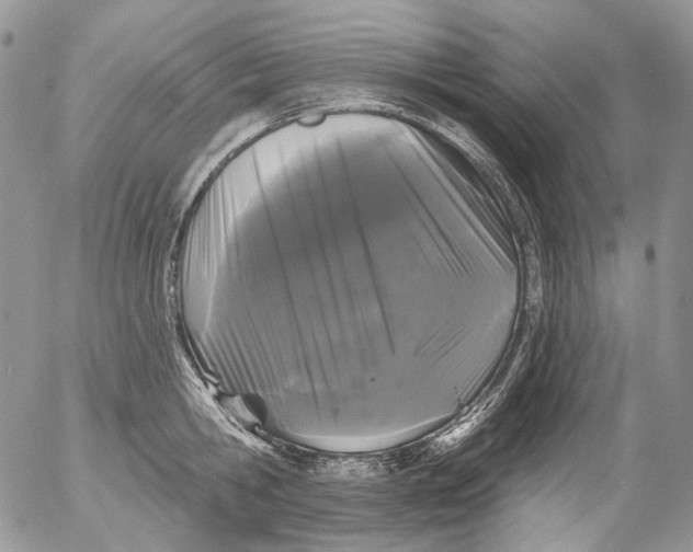 X0000053140806200508012242