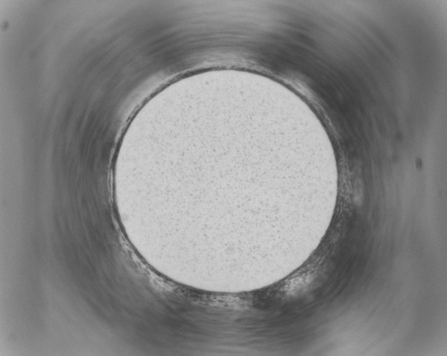 X0000053140807200508012242