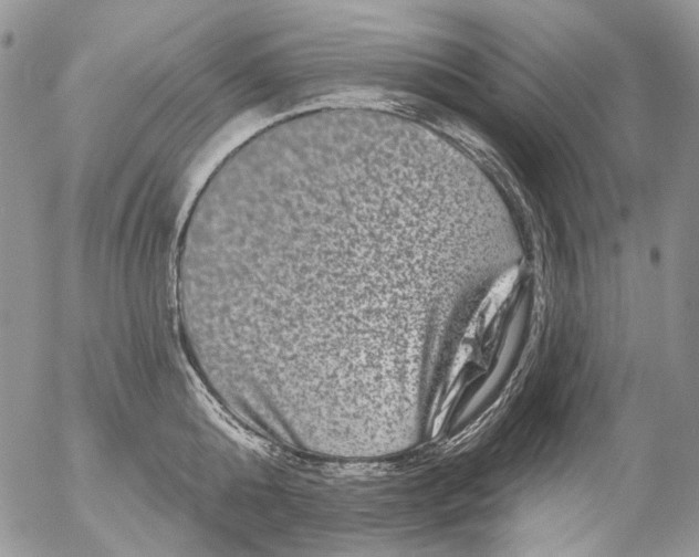 X0000053140808200508012242