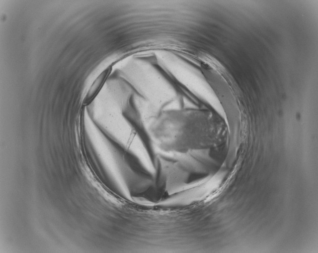 X0000053140812200508012242