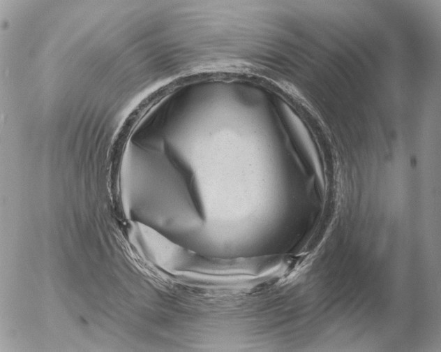 X0000053140830200508012241