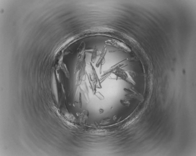 X0000053140833200508012241