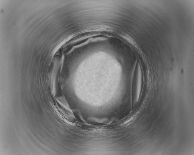 X0000053140834200508012241