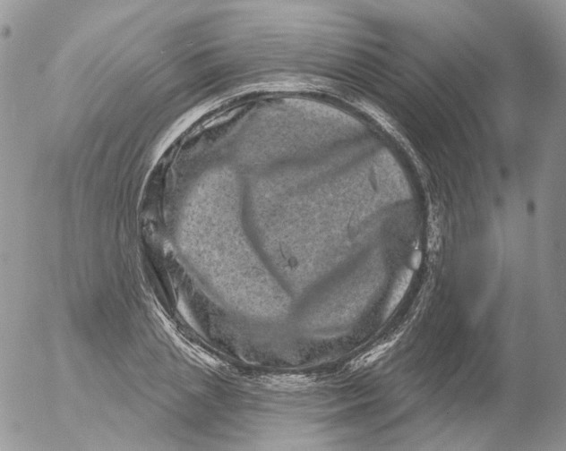 X0000053140837200508012241