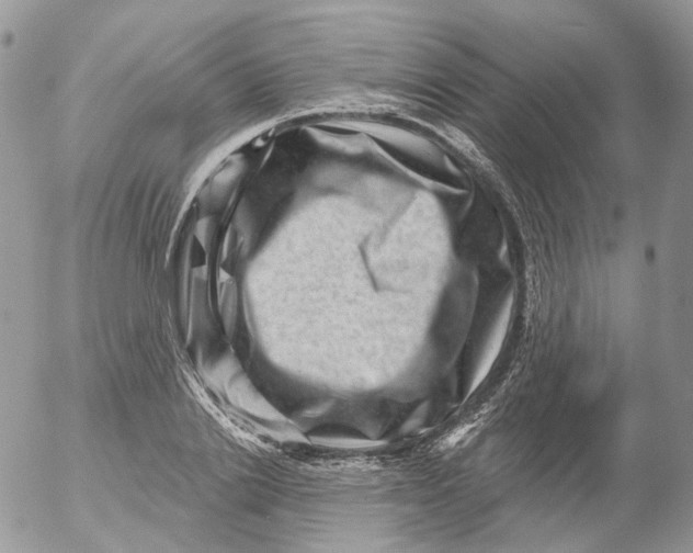 X0000053140838200508012241
