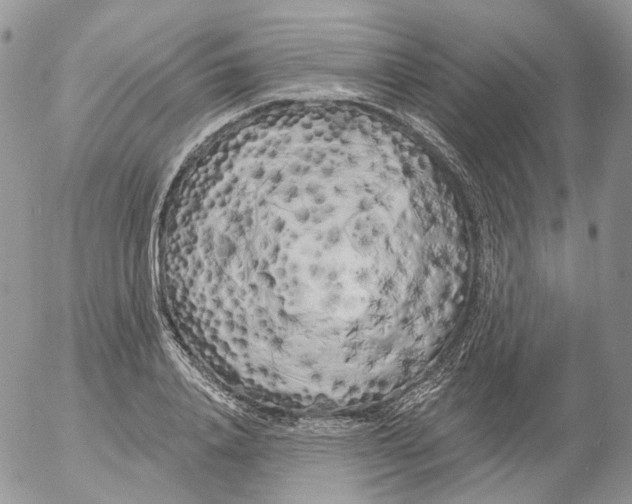 X0000053140840200508012241