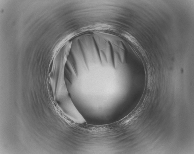 X0000053140850200508012242