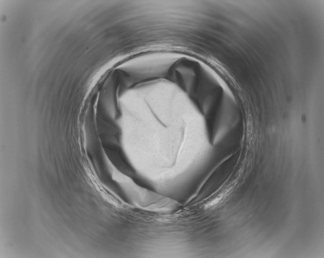 X0000053140854200508012242