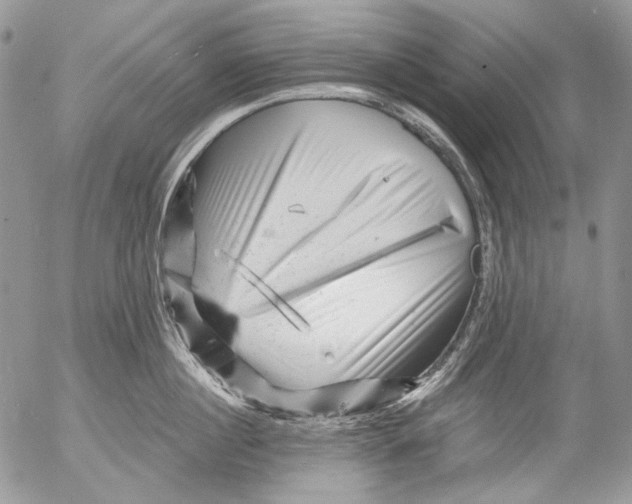 X0000053140860200508012242