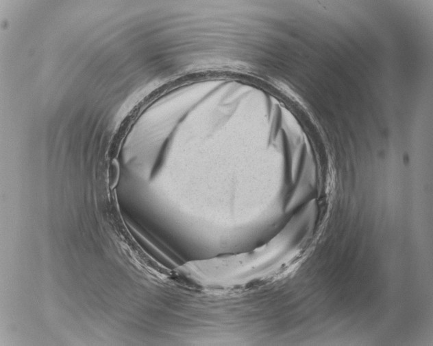 X0000053140877200508012241