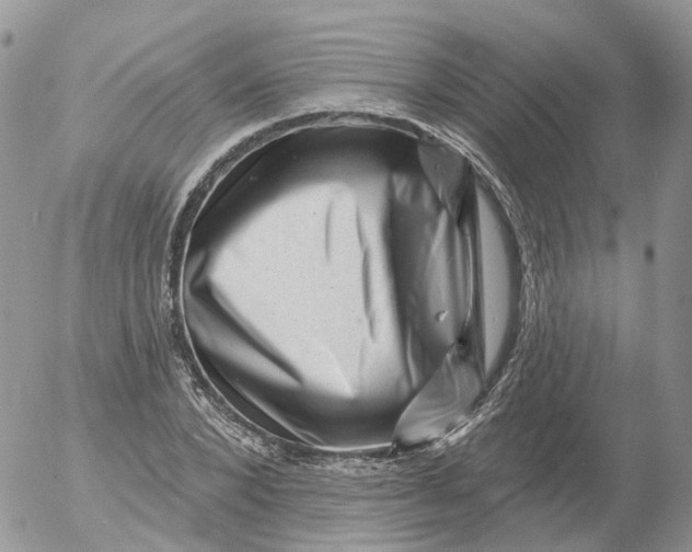 X0000053140880200508012241