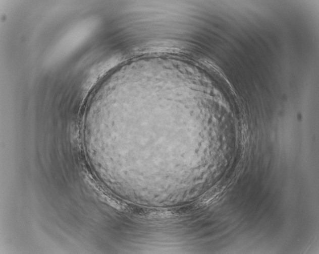 X0000053140882200508012241