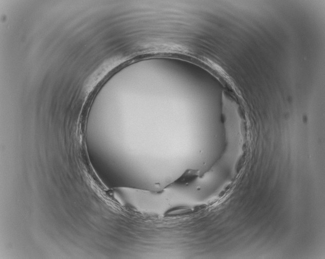X0000053140885200508012241