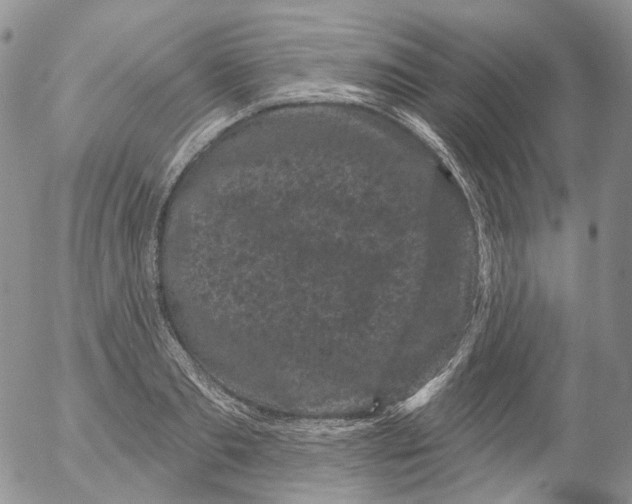 X0000053140893200508012241