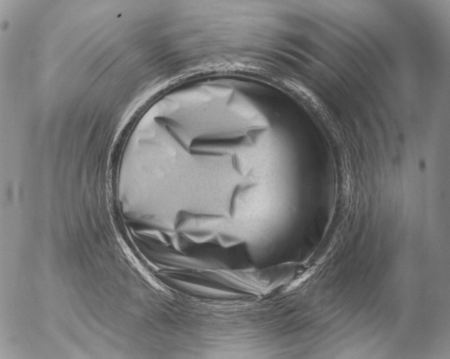 X0000053140894200508012241