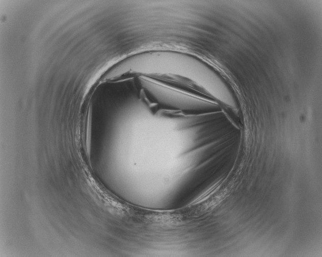 X0000053140896200508012240