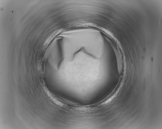 X0000053140897200508012240