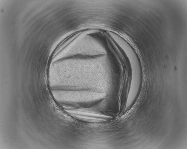 X0000053140904200508012240