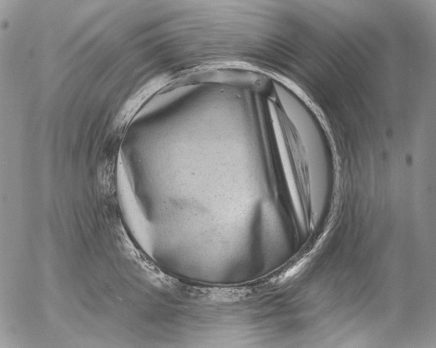 X0000053140905200508012240