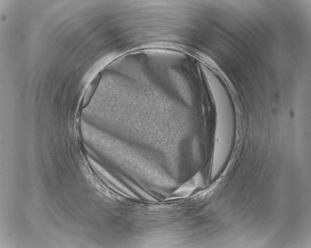 X0000053140908200508012240