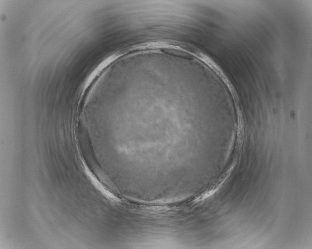 X0000053140909200508012240