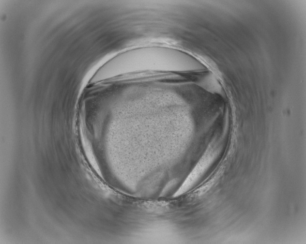 X0000053140912200508012240