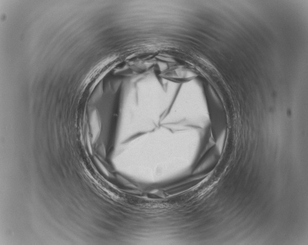 X0000053140930200508012240