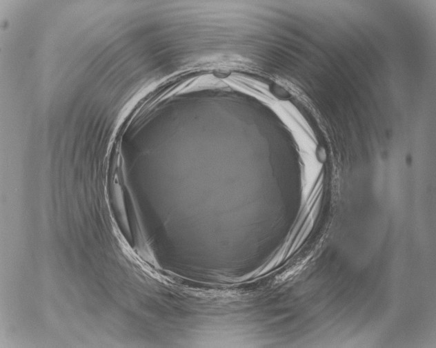 X0000053140941200508012240