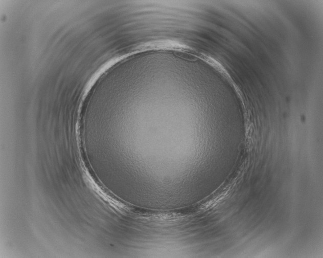X0000053140947200508012240