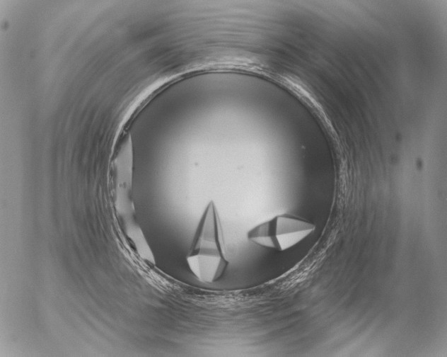 X0000053140948200508012240