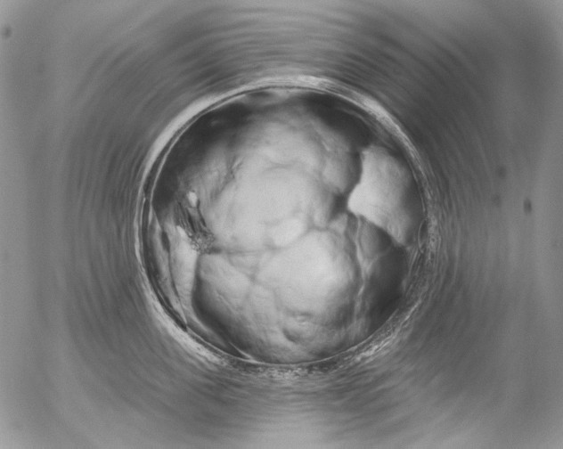 X0000053140955200508012240