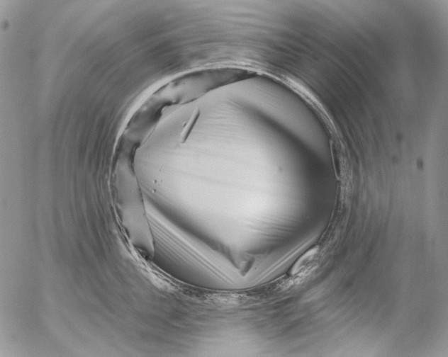 X0000053140956200508012240