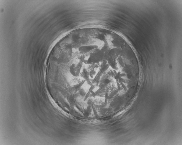 X0000053140957200508012240