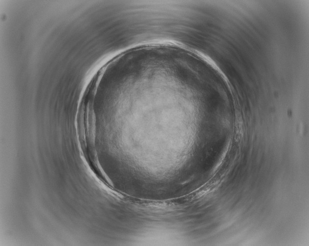 X0000053140959200508012240
