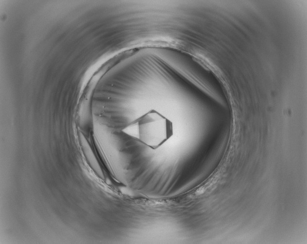 X0000053140960200508012240