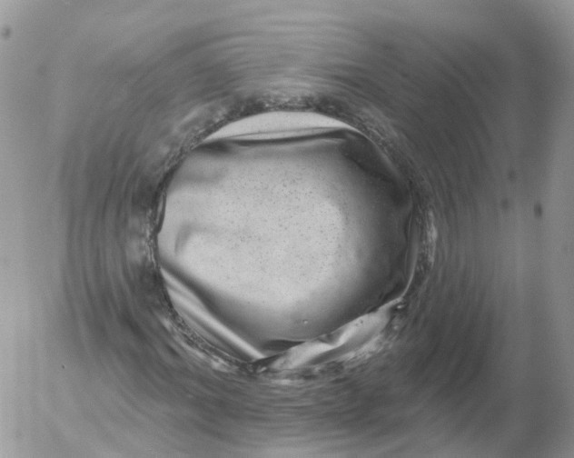 X0000053140964200508012239