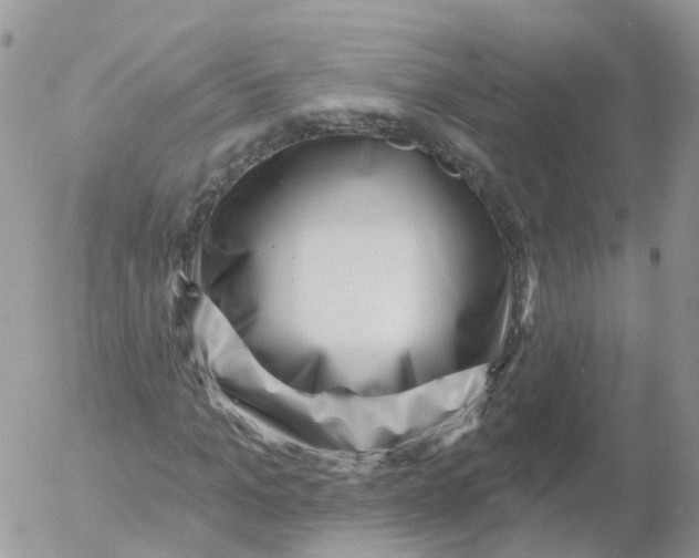 X0000053140965200508012239