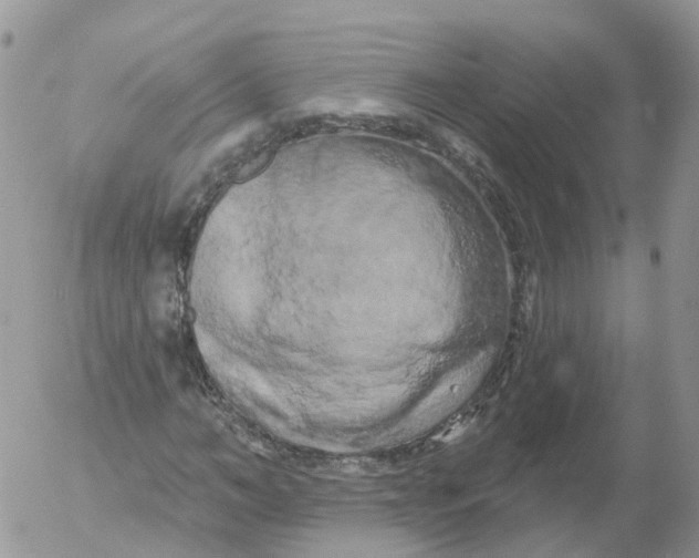 X0000053140966200508012239