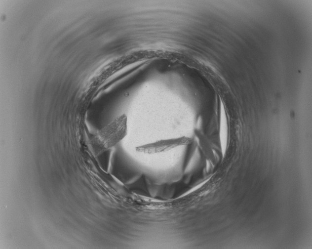 X0000053140968200508012239