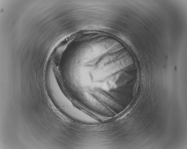 X0000053140976200508012239