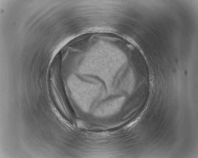 X0000053140981200508012239