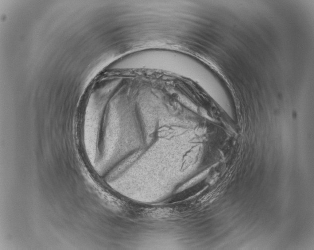 X0000053140991200508012239