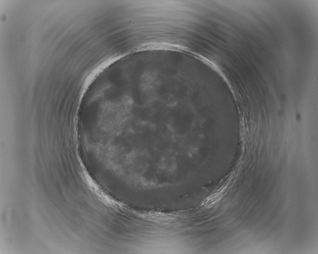 X0000053140995200508012239