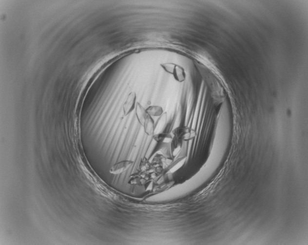 X0000053140996200508012239