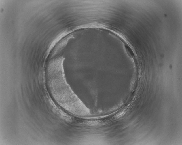 X0000053140998200508012239