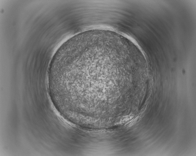 X0000053140999200508012239