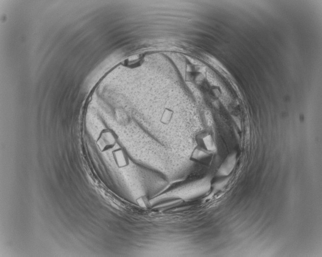 X0000053141002200508012239