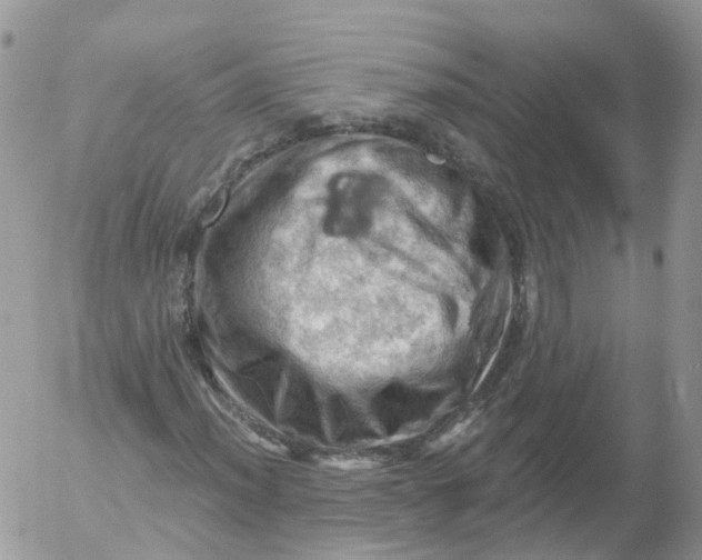 X0000053141012200508012238